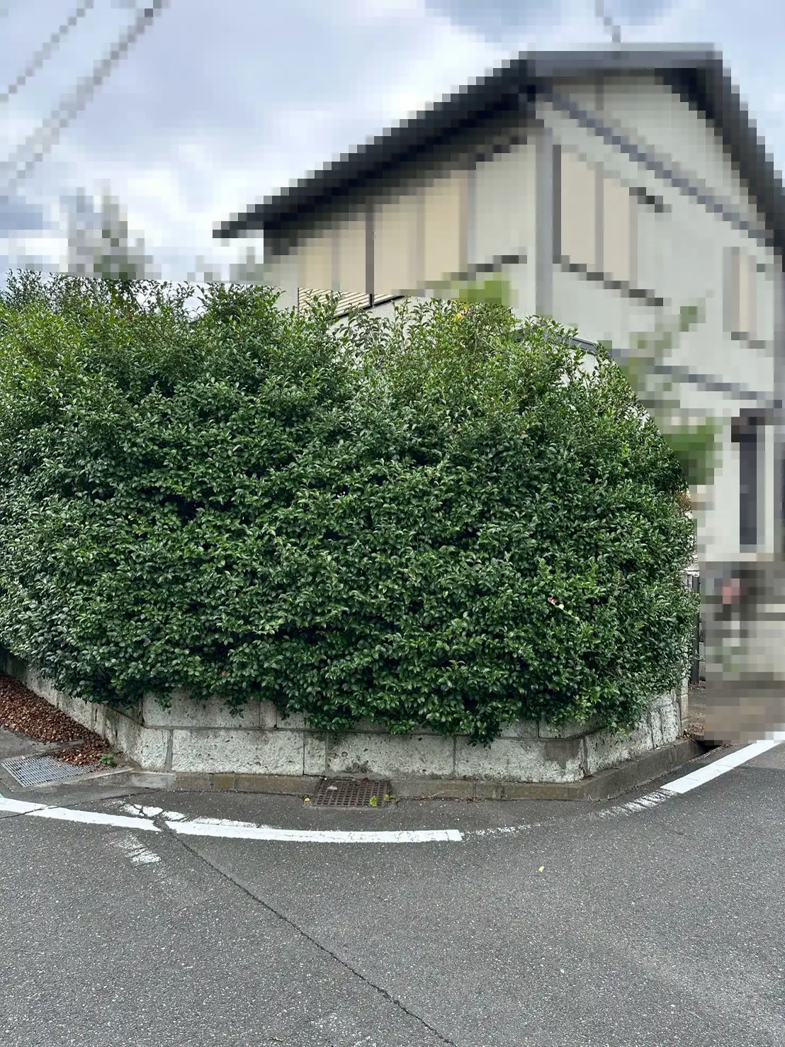 ○○様邸／外構・フェンス工事 施工前