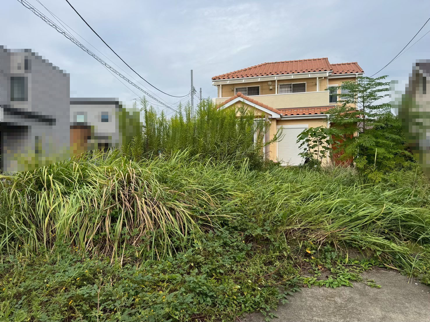 ○○様邸／除草工事 施工前