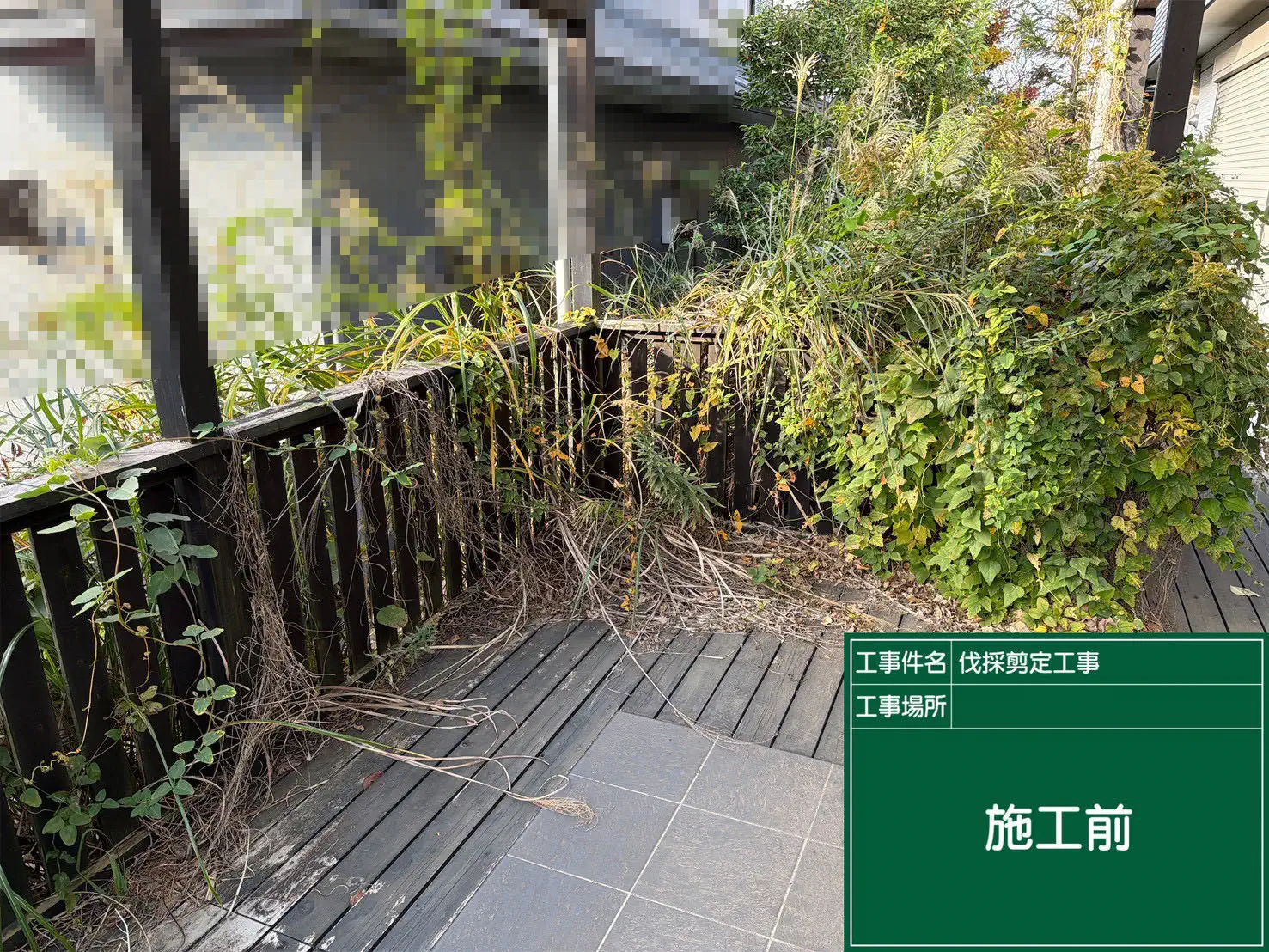 ○○様邸／伐採剪定工事 施工前