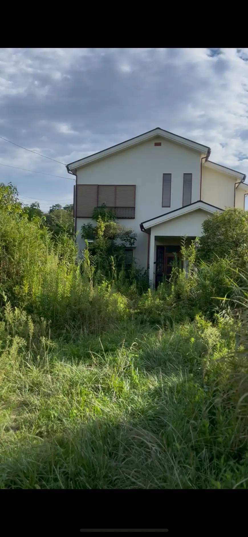 ○○様邸／伐採剪定工事 施工前