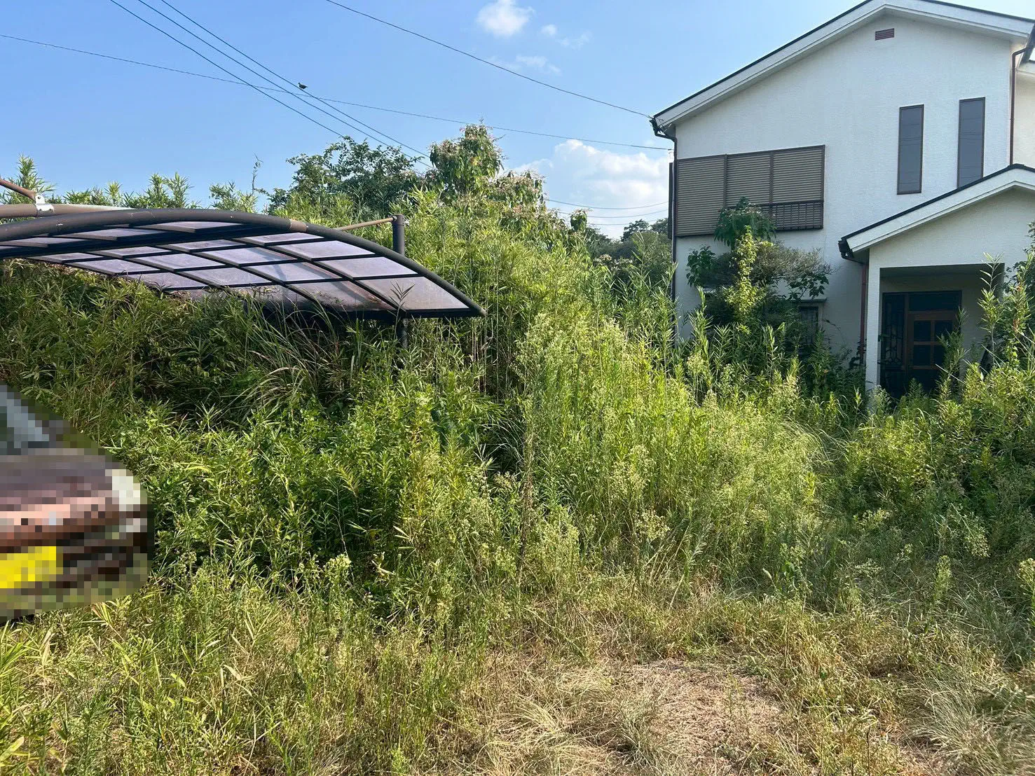 ○○様邸／伐採剪定工事 施工前