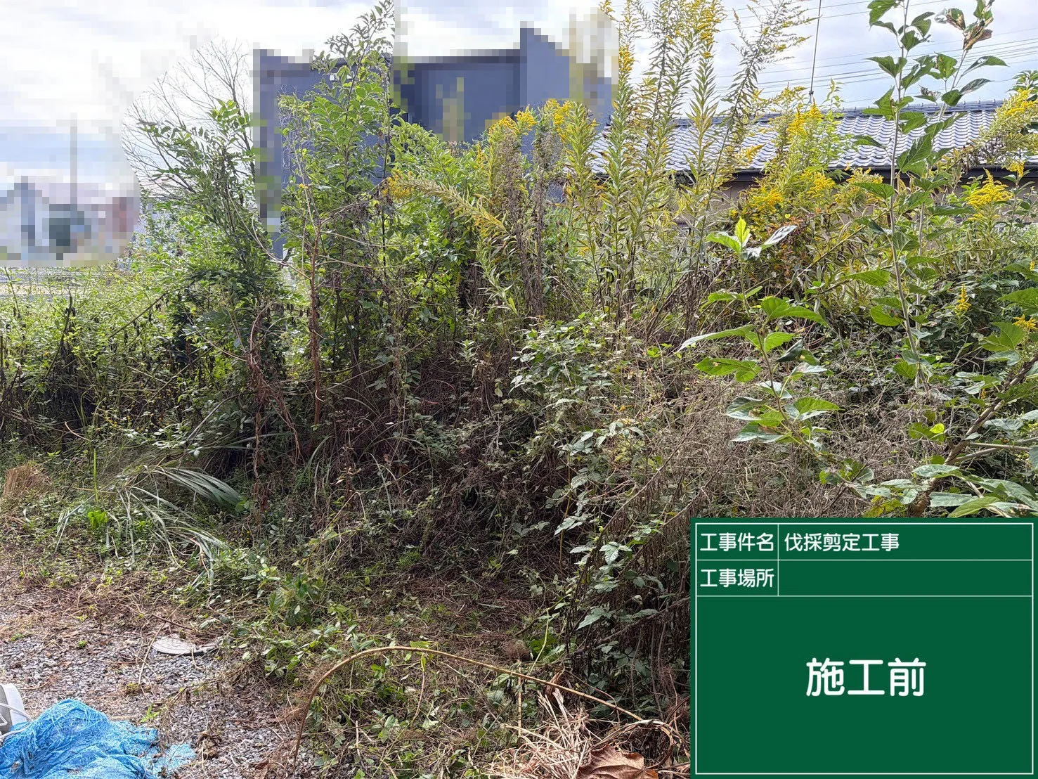 化粧砂利敷設工事 施工前